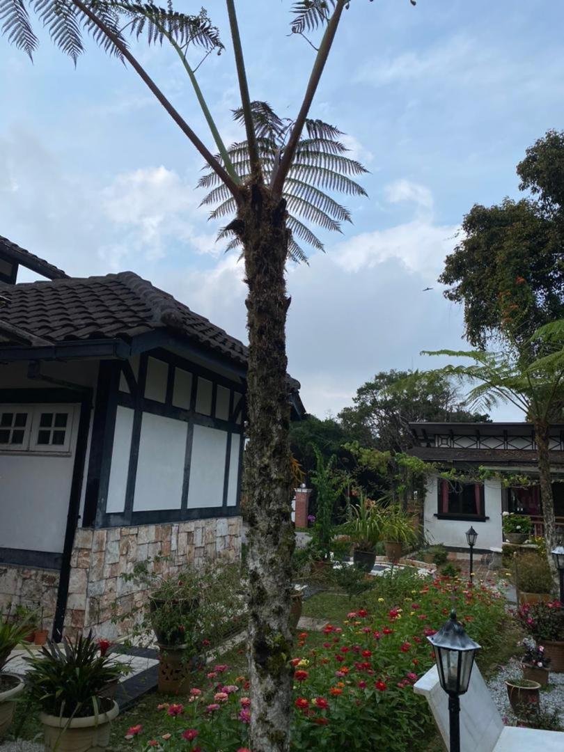 Cahaya *