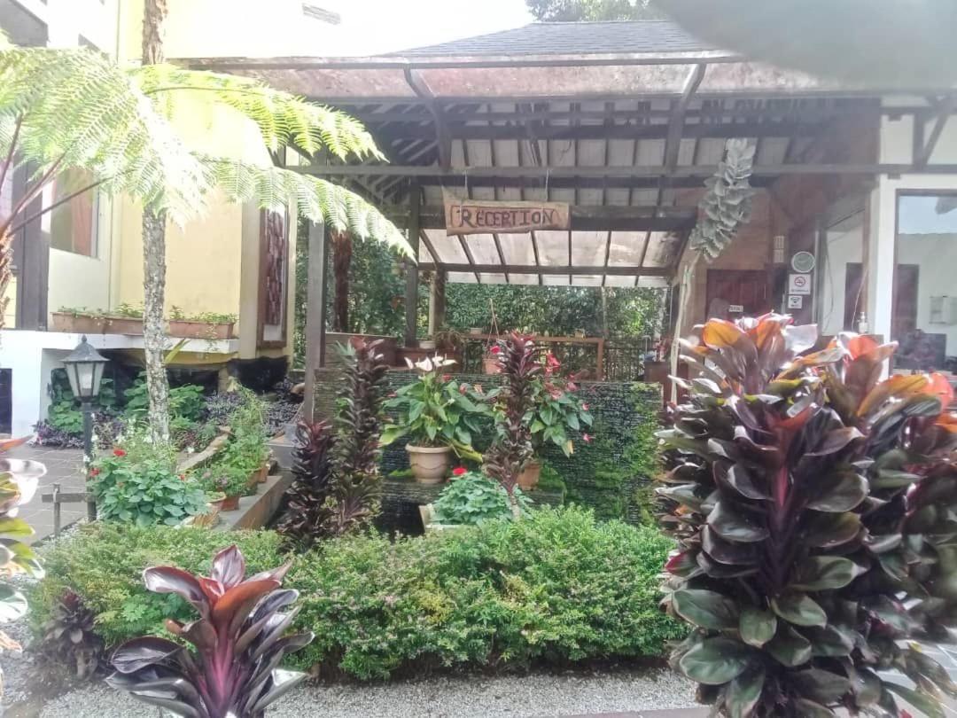 Cahaya Hotel Tanah Rata